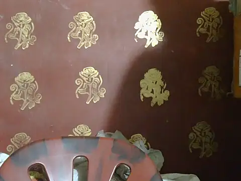 Stubborndesiboy webcam