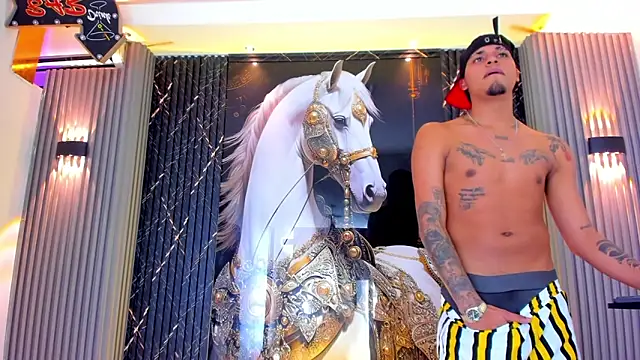 the_knights_of_the_night_ webcam