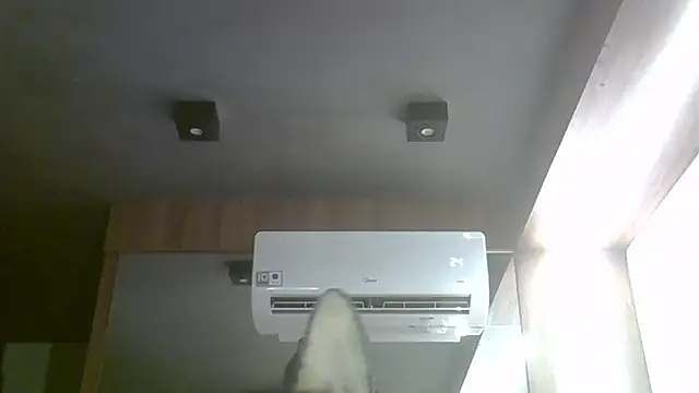 SkinnyKitten webcam