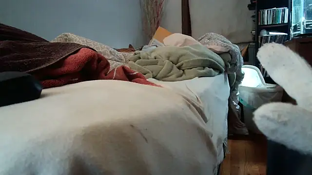 jumpingtomflash webcam