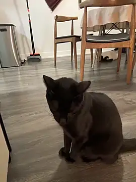 rileylovesyou webcam