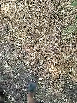 Desi_boy_fuck webcam