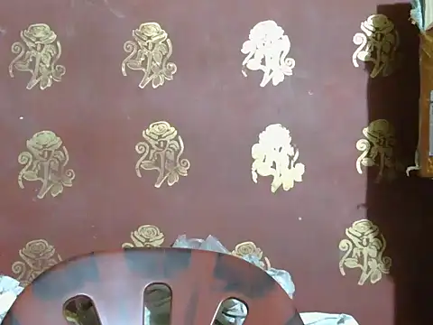 Stubborndesiboy webcam