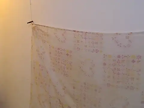 Daniellesafada webcam