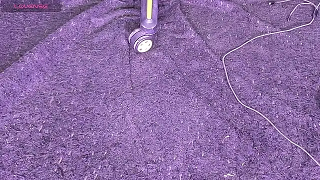 Preview of big_bearr