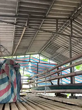 mylove-suka - Mylove-suka's free webcam - UK Sex Cams