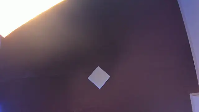 abbiecollins_js webcam