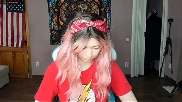 Project_hisoka webcam