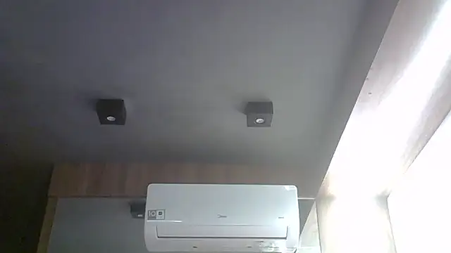 SkinnyKitten webcam