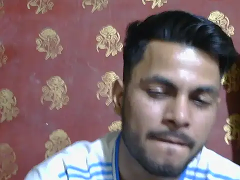 Stubborndesiboy webcam