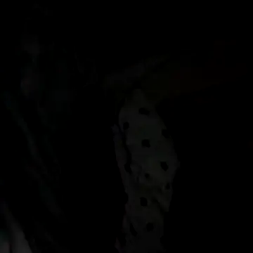 Ortiz3404 live sex cam