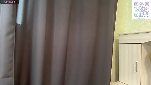 UpdatedRectus webcam