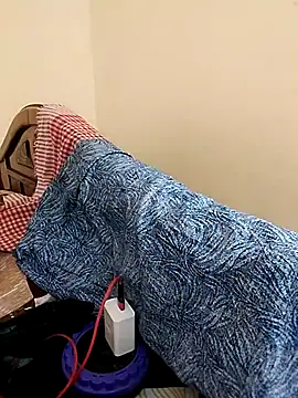 tamil_palkova_couples webcam