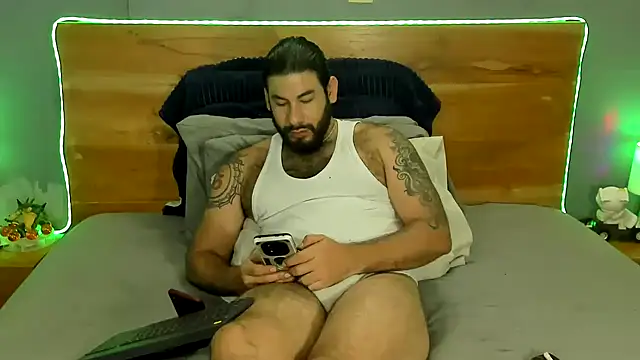 Prometeo-grizzly webcam