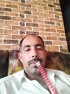 Preview of salimbasha