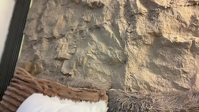 Preview GenesisCastillano