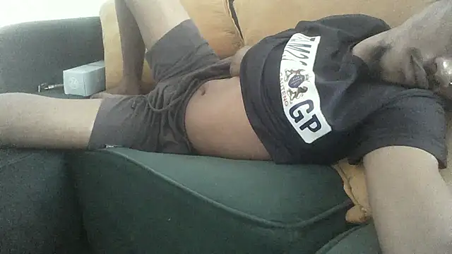 Winterslender webcam