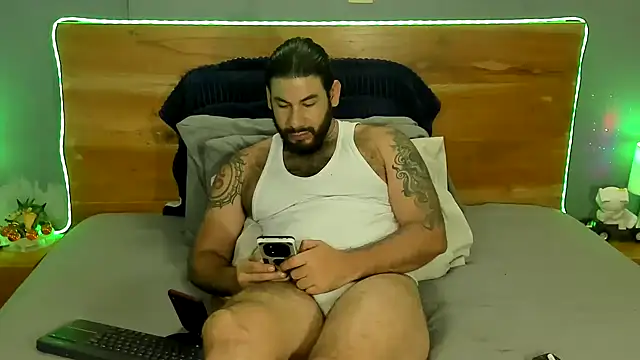 Prometeo-grizzly webcam