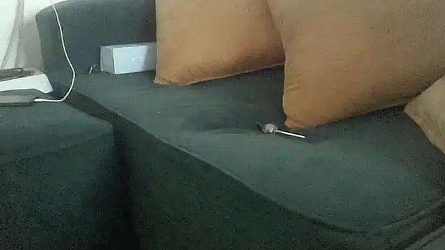 Winterslender webcam