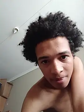 TheRiseOfDick webcam