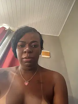 Priihmedeiros webcam