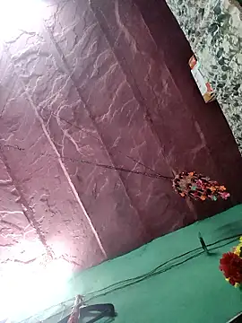 bhavna_pandit webcam