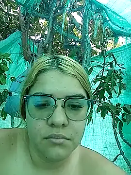 single_kitten webcam