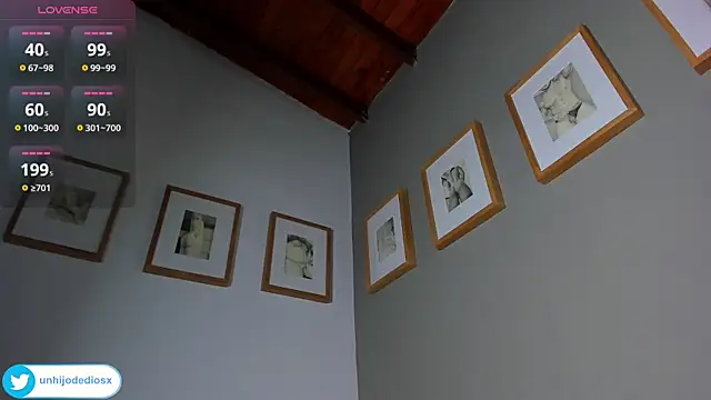 Ackerman_Eren_ webcam