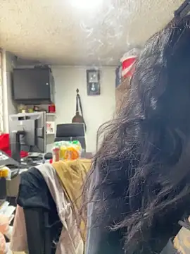 SALOME_KORLAND webcam