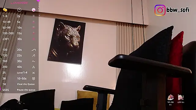 virtual_charm webcam