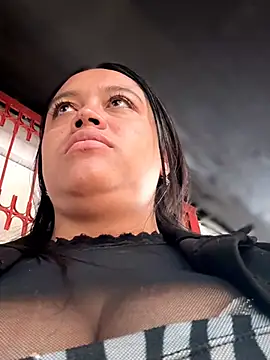 _Mia-Safety_Inspector webcam