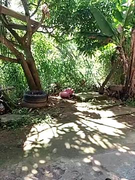 venusandzeus@xh webcam