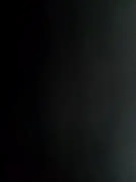 EgyptianHorse webcam