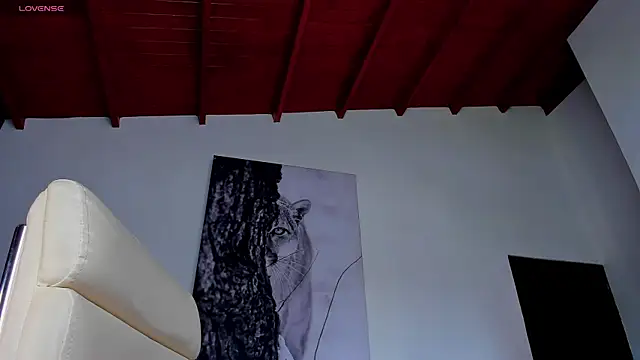 Santos_ramirez1 webcam