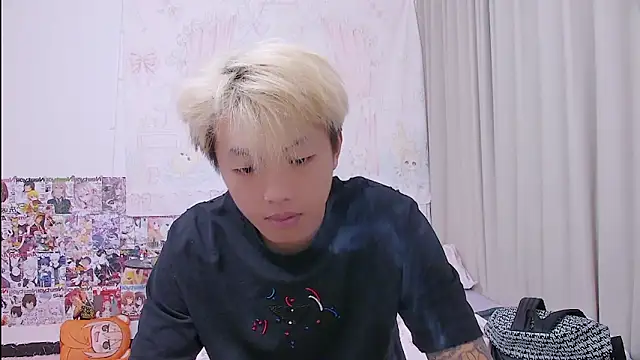 Chocolates-001 webcam