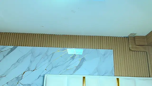 rox_luxury_tf webcam