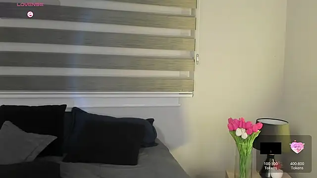 MERIDA_TAYLOR webcam