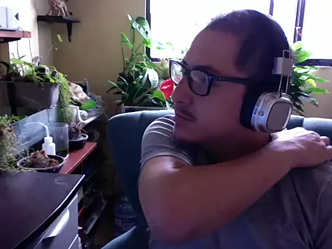 Gilgamesh-Aesir webcam