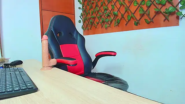 BeatrizSchmidt webcam