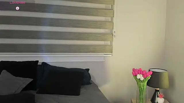 MERIDA_TAYLOR webcam