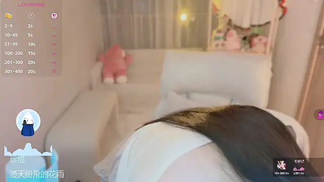 Vaidurya-Yolo webcam