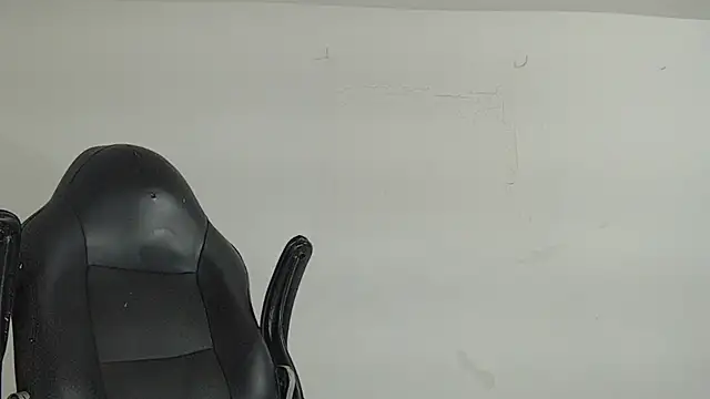 brant_garciabbc webcam