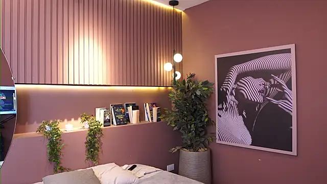 Ethan_occonor webcam