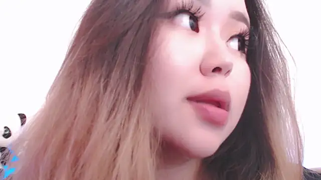 amelia_sunlight webcam