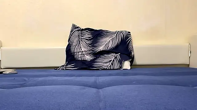 RenataBrought webcam