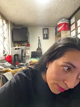 SALOME_KORLAND webcam