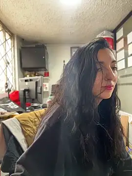 SALOME_KORLAND webcam