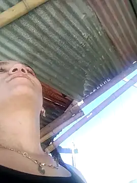 vegonicarouge webcam