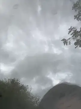 BabyLuna_2025 webcam