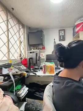 SALOME_KORLAND webcam